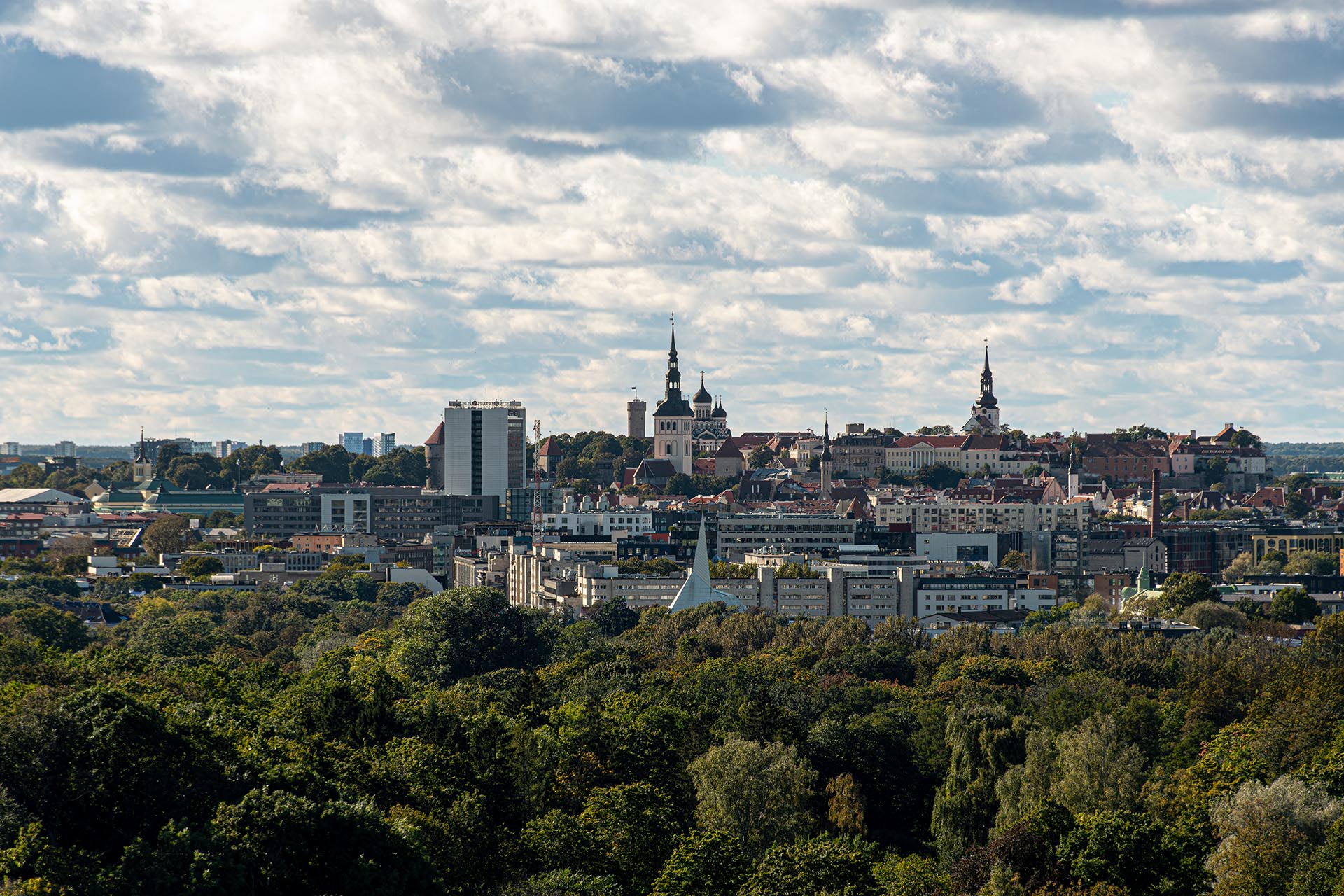 Kinnisvarafotograafia Tallinnas: panoraamvaade Tallinna vanalinnale ja rohelusele